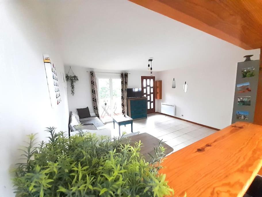 Le Cocouning Apartment Ceyras Exterior photo